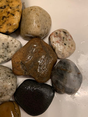 Venice Beach Rock Collection