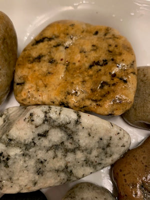 Venice Beach Rock Collection