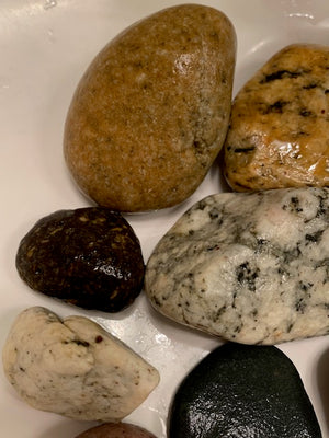 Venice Beach Rock Collection