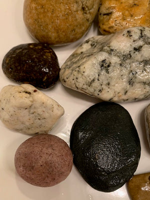 Venice Beach Rock Collection