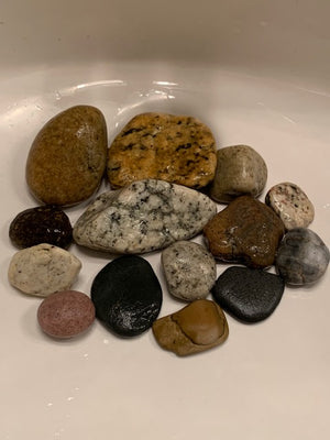 Venice Beach Rock Collection
