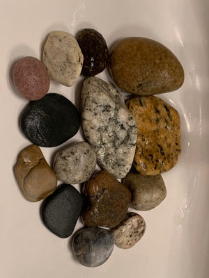 Venice Beach Rock Collection