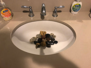 Venice Beach Rock Collection