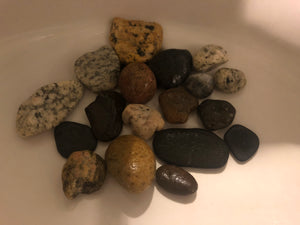 Venice Beach Rock Collection