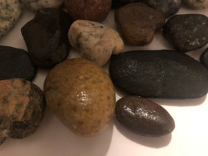 Venice Beach Rock Collection