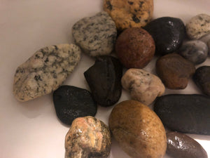 Venice Beach Rock Collection