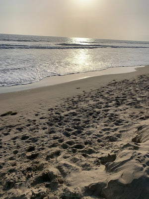 Venice Beach Rock Collection